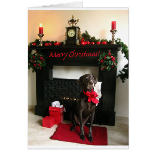 Merry Christmas german shorthaired pointer