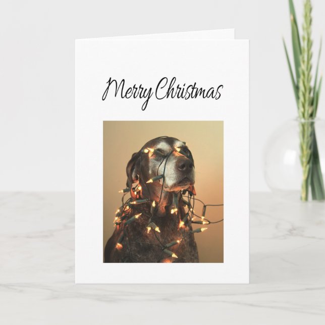 Merry Christmas german shorthaired pointer Holiday Card (Front)