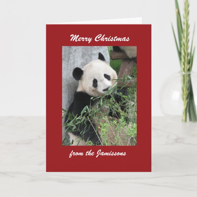 Merry Christmas Giant Panda, Red Border Holiday Card (Front)