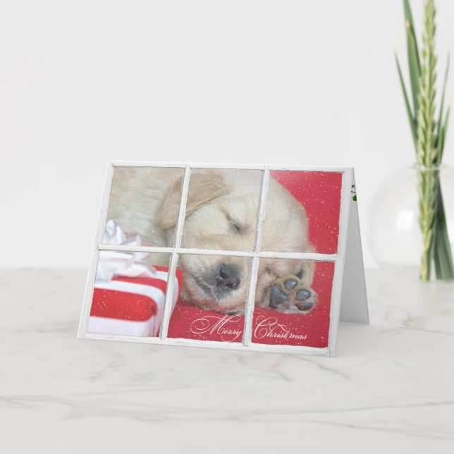 Merry Christmas-golden retriever pup Holiday Card (Front)