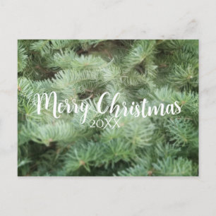 MERRY CHRISTMAS Green Pine Tree Holiday Postcard