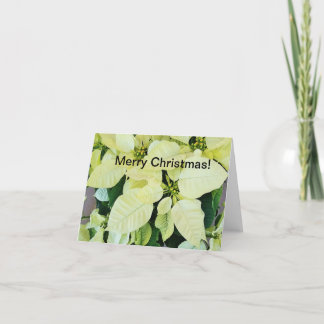 Merry Christmas Greeting Card