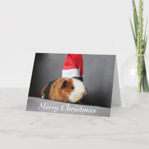 Merry Christmas Guinea Pig in a Santa Hat Card