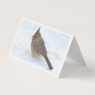 Merry Christmas - Happy Holidays - Folded Card