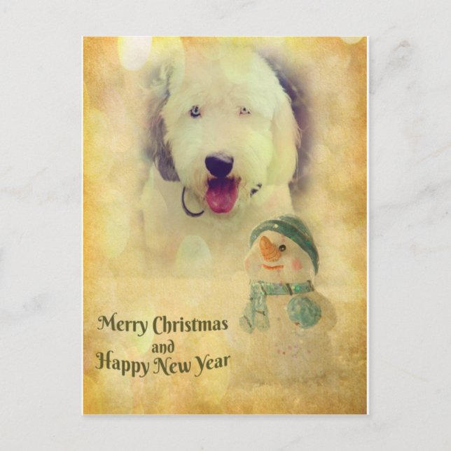 Merry Christmas & Happy New Year! Holiday Postcard (Front)
