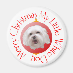 Merry Christmas Havanese Magnet