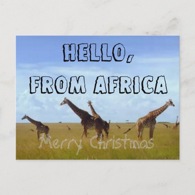 Merry Christmas Hello From Africa Hakuna Matata Holiday Postcard (Front)