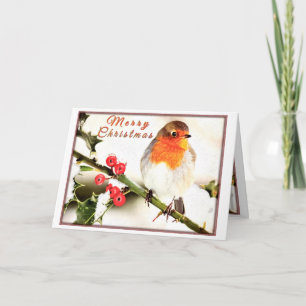 Merry Christmas Holiday Bird Card