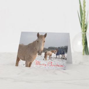 Merry Christmas Holiday Card