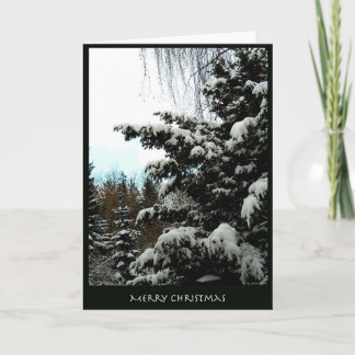 Merry Christmas Holiday Card