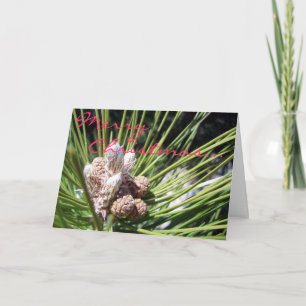 Merry  Christmas... Holiday Card