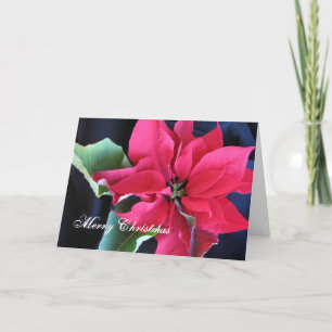 Merry Christmas Holiday Card