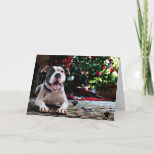 Merry Christmas Holiday Card