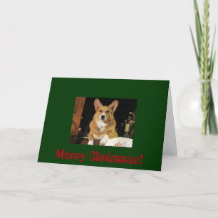 Merry Christmas! Holiday Card