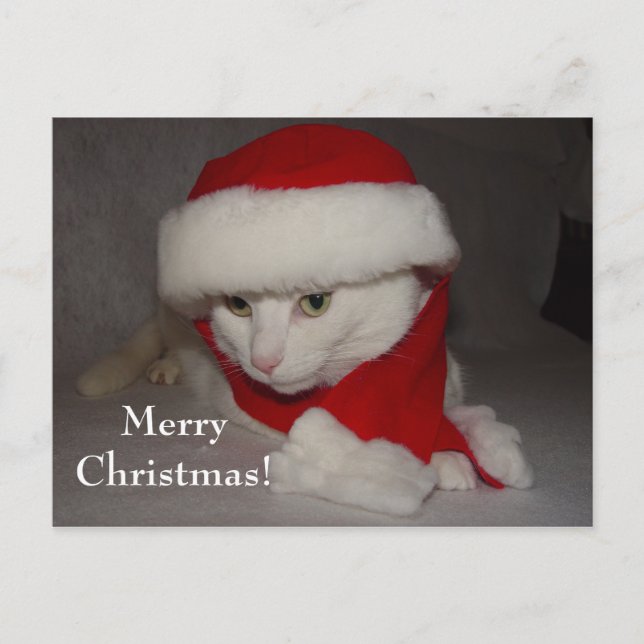Merry Christmas! Holiday Postcard (Front)