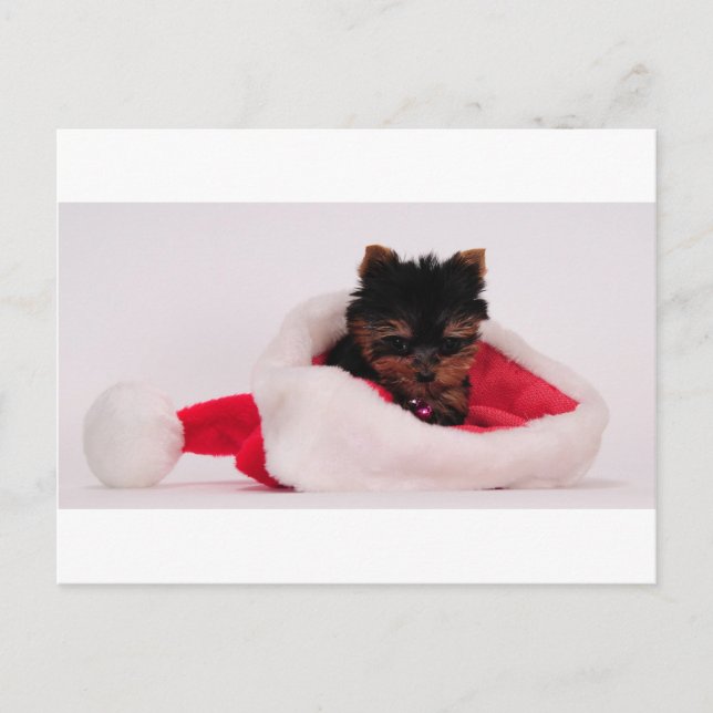 Merry Christmas Holiday Postcard (Front)