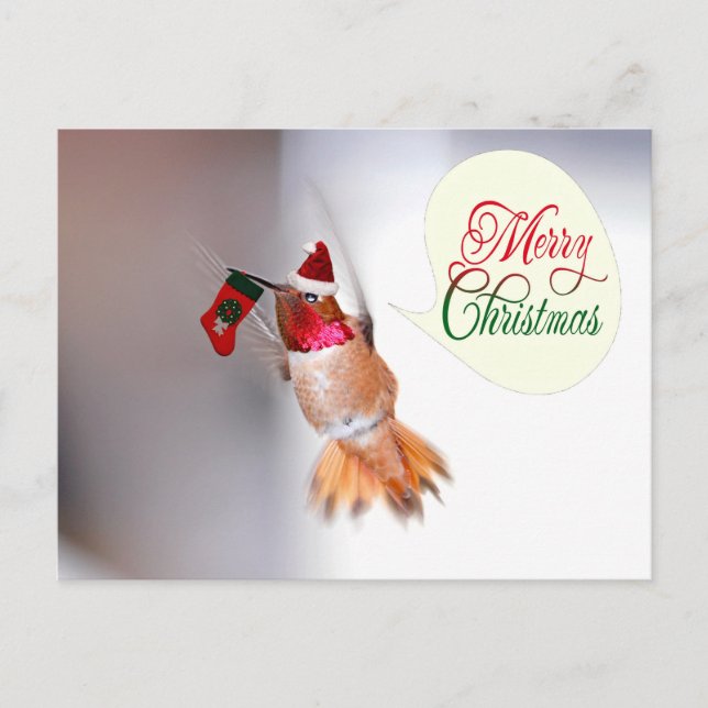 Merry Christmas Hummingbird with Xmas Stocking Holiday Postcard (Front)