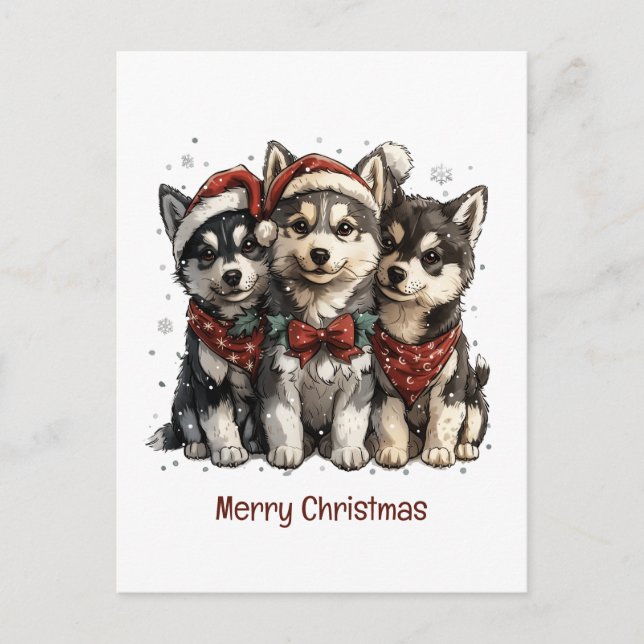 Merry Christmas Husky Dogs Postcard (Front)