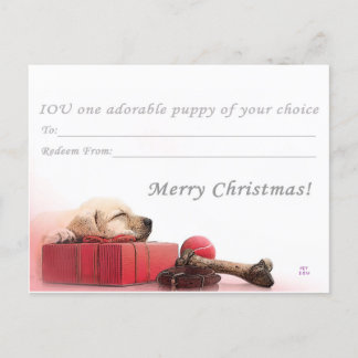 Merry Christmas I.O.U a puppy Holiday Postcard