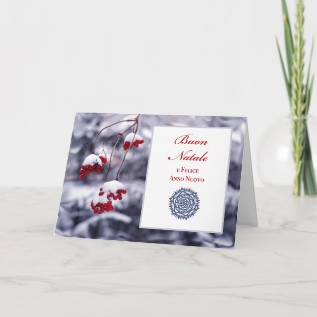 Merry Christmas in Italian Berries in Snow Holiday Card (Front)