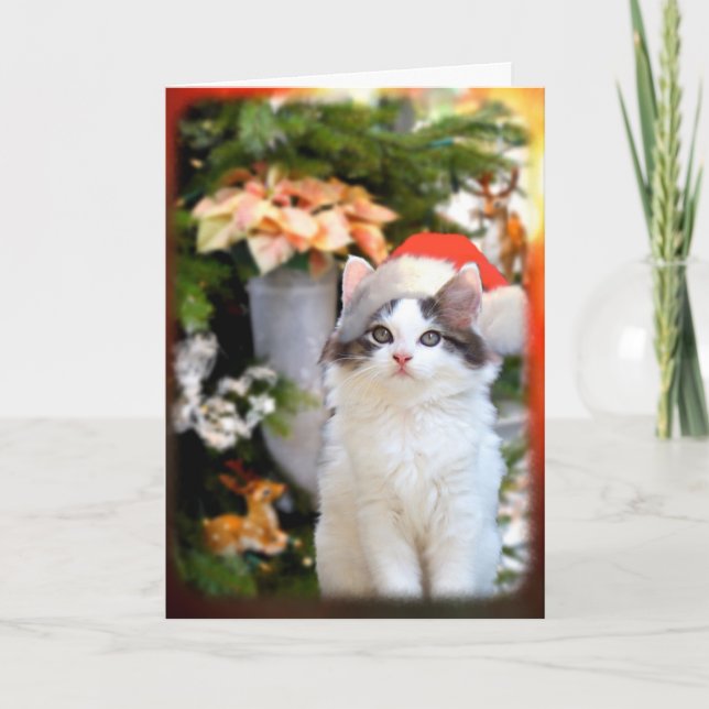 Merry Christmas Kitten Card (Front)