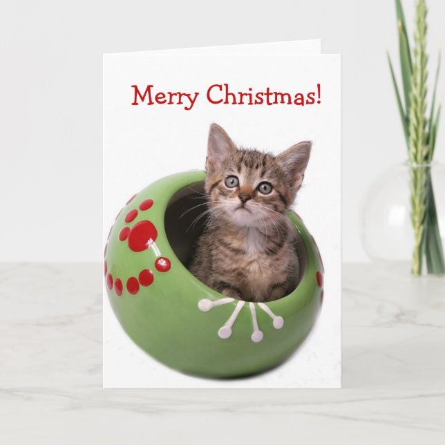 Merry Christmas Kitten Holiday Card (Front)
