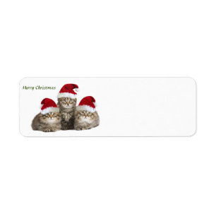 Merry Christmas Kittens label