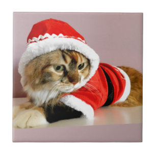 Merry Christmas kitty cat Santa suit Tile