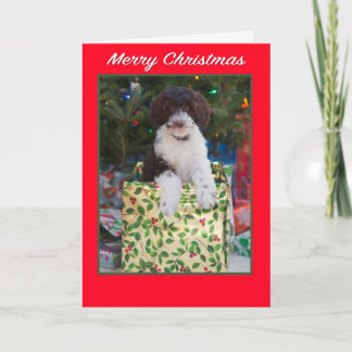 Merry Christmas Labradoodle Puppy Card