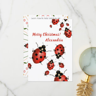 Merry Christmas Ladybug Red Black on White Thank You Card