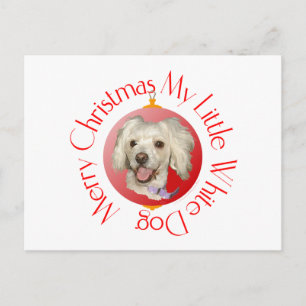 Merry Christmas Little White Dog Poodle / Bichon Holiday Postcard