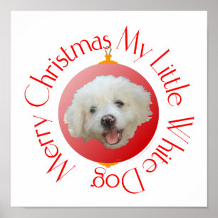 Merry Christmas Little White Dog Poster