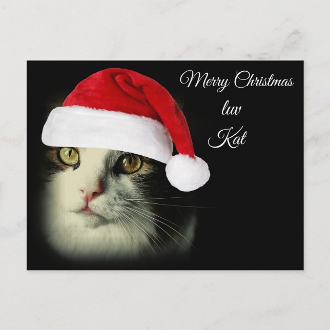 Merry Christmas Luv Kat Holiday Postcard (Front)