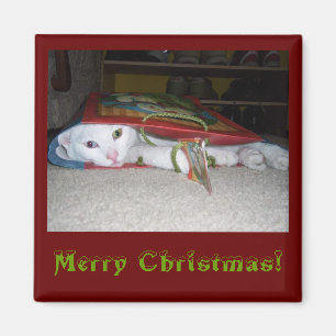 Merry Christmas Magnet! Magnet