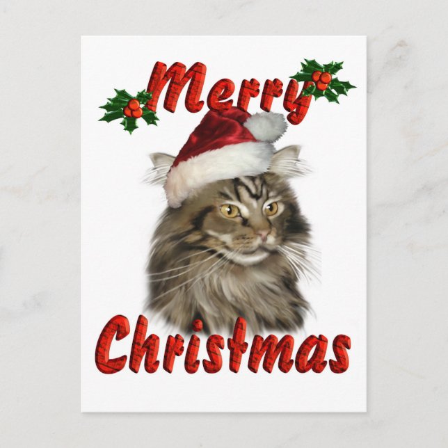 Merry Christmas Maine Coon Cat Holiday Postcard (Front)