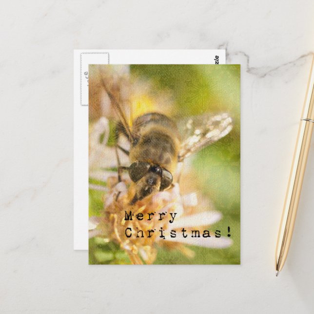 Merry Christmas Moth on Flower Postcard (Front/Back In Situ)