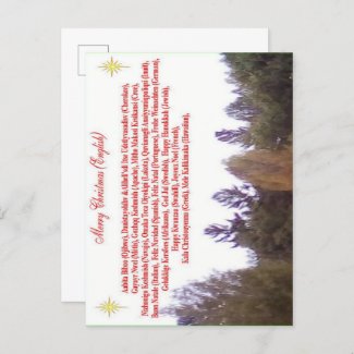 Merry Christmas Multi Language Postcard