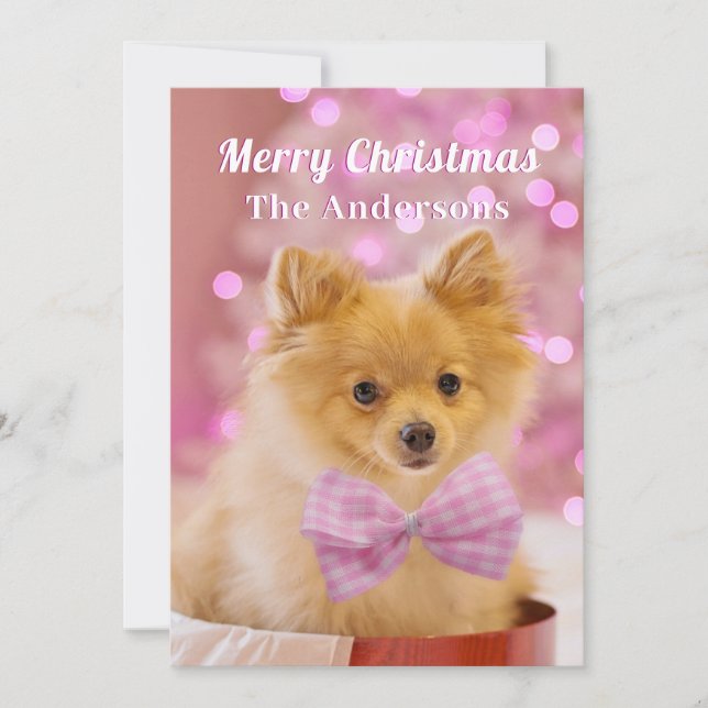 Merry Christmas & Name, Cute Dog or Your Photo  Invitation (Front)