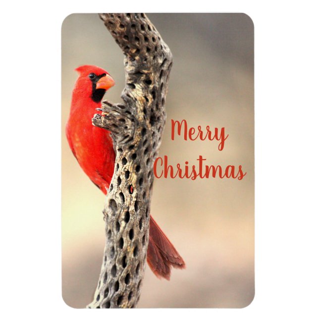 Merry Christmas Northern Cardinal Magnet (Vertical)
