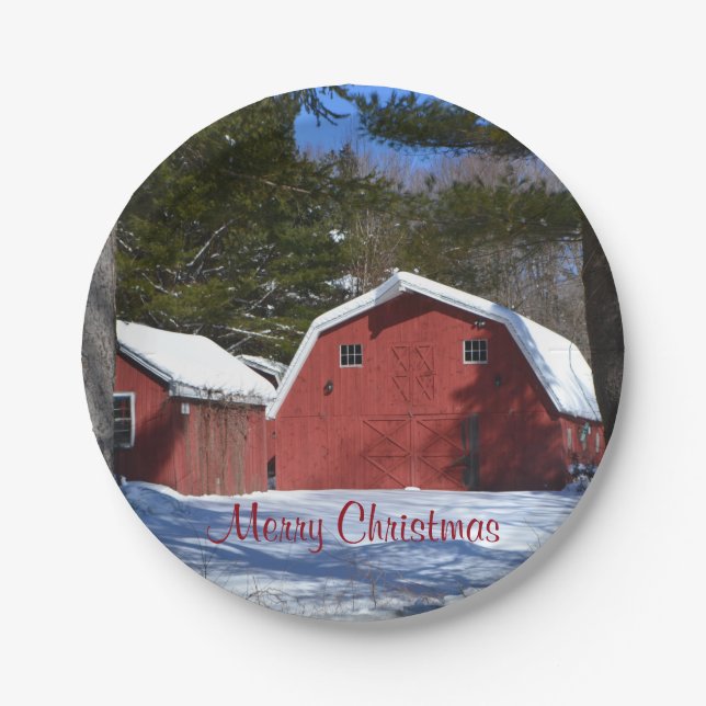 Merry Christmas Paper Plate (Front)