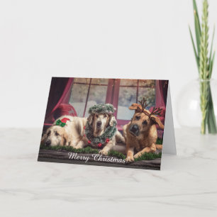Merry Christmas Personalize Pet Photo Names Holiday Card