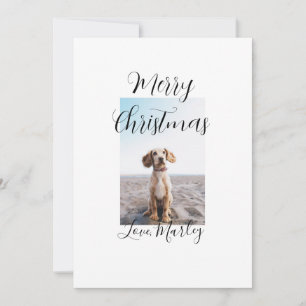 Merry Christmas pet dog cat photo holiday gifts lo Invitation