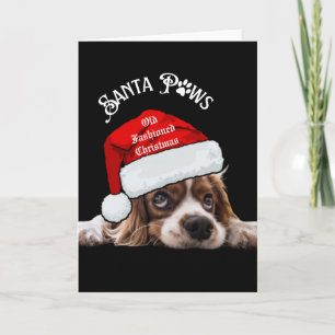 Merry Christmas Pets 2026 Holiday Card