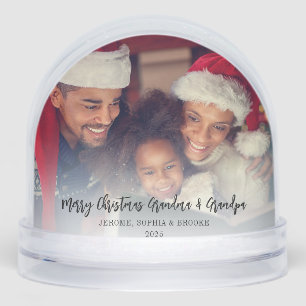 Merry Christmas Photos Grandma Grandpa Cat Snowglobe