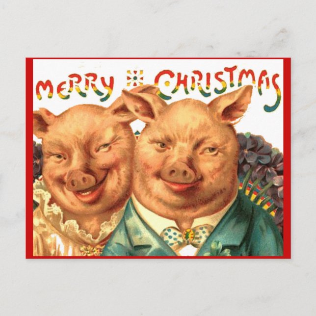 Merry Christmas Pig Couple Vintage Postcard Art (Front)