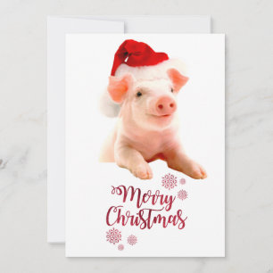 Merry Christmas Pig With Santa Hat Holiday Card