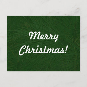 Merry Christmas Pine Tree Close Up Holiday Postcard