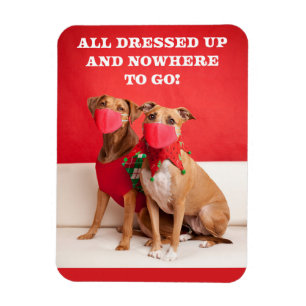 Merry Christmas Pit Bulls in Face Masks Magnet