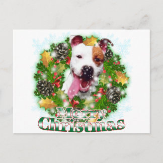 Merry Christmas Pitbull Holiday Postcard