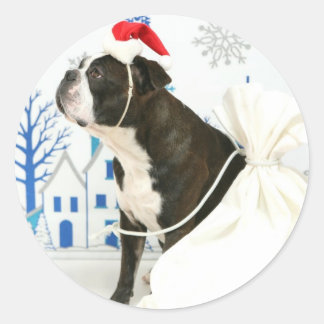 Merry Christmas,Pocky. Classic Round Sticker